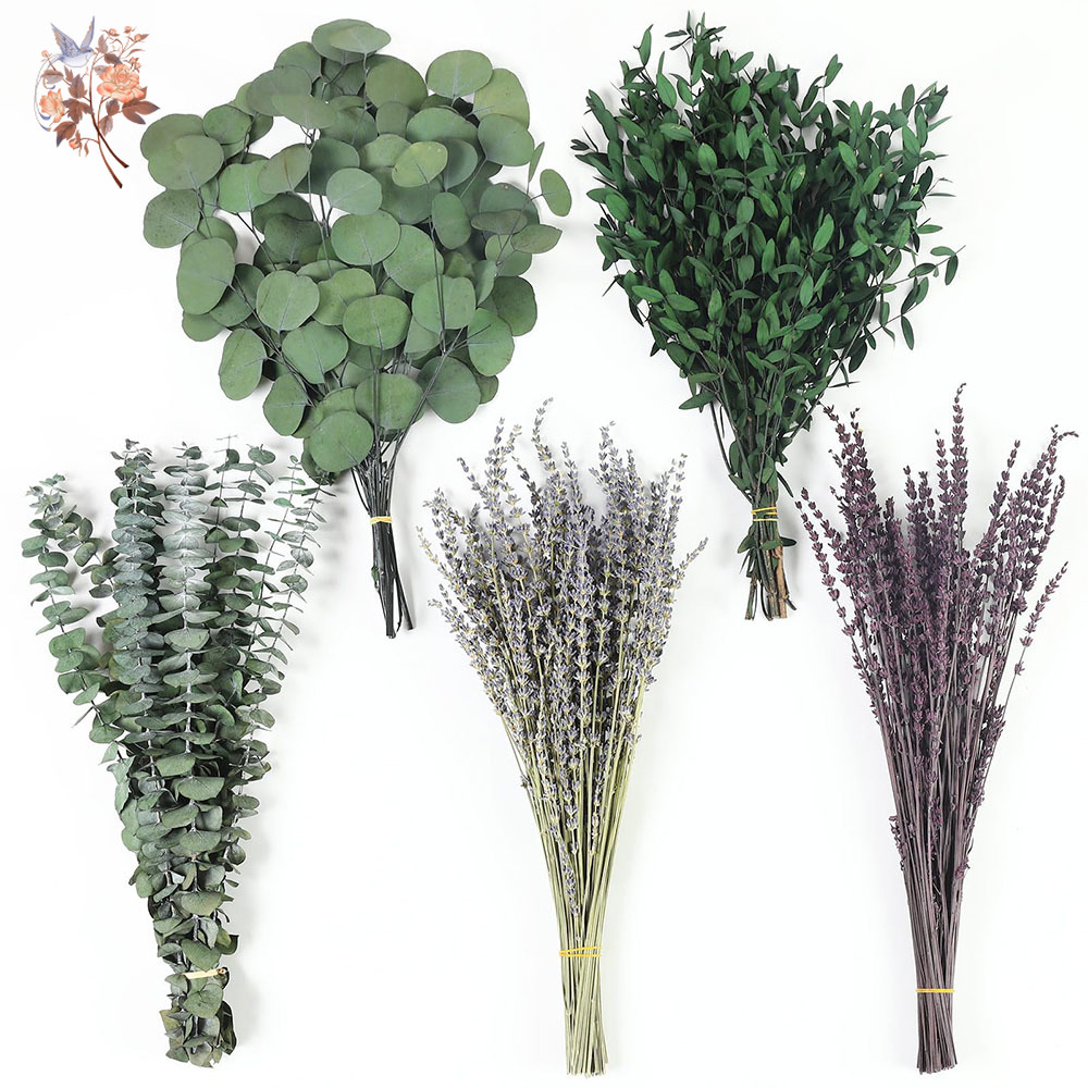 Fragrance Your Home - 110Pcs Mix Dried Eucalyptus Leaves Lavender