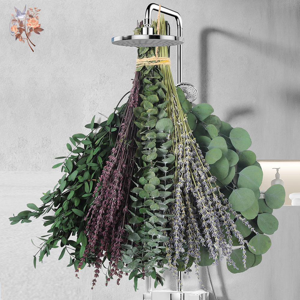 110Pcs Mix Dried Eucalyptus Le - đánh giá và giá Fragrance Your Home