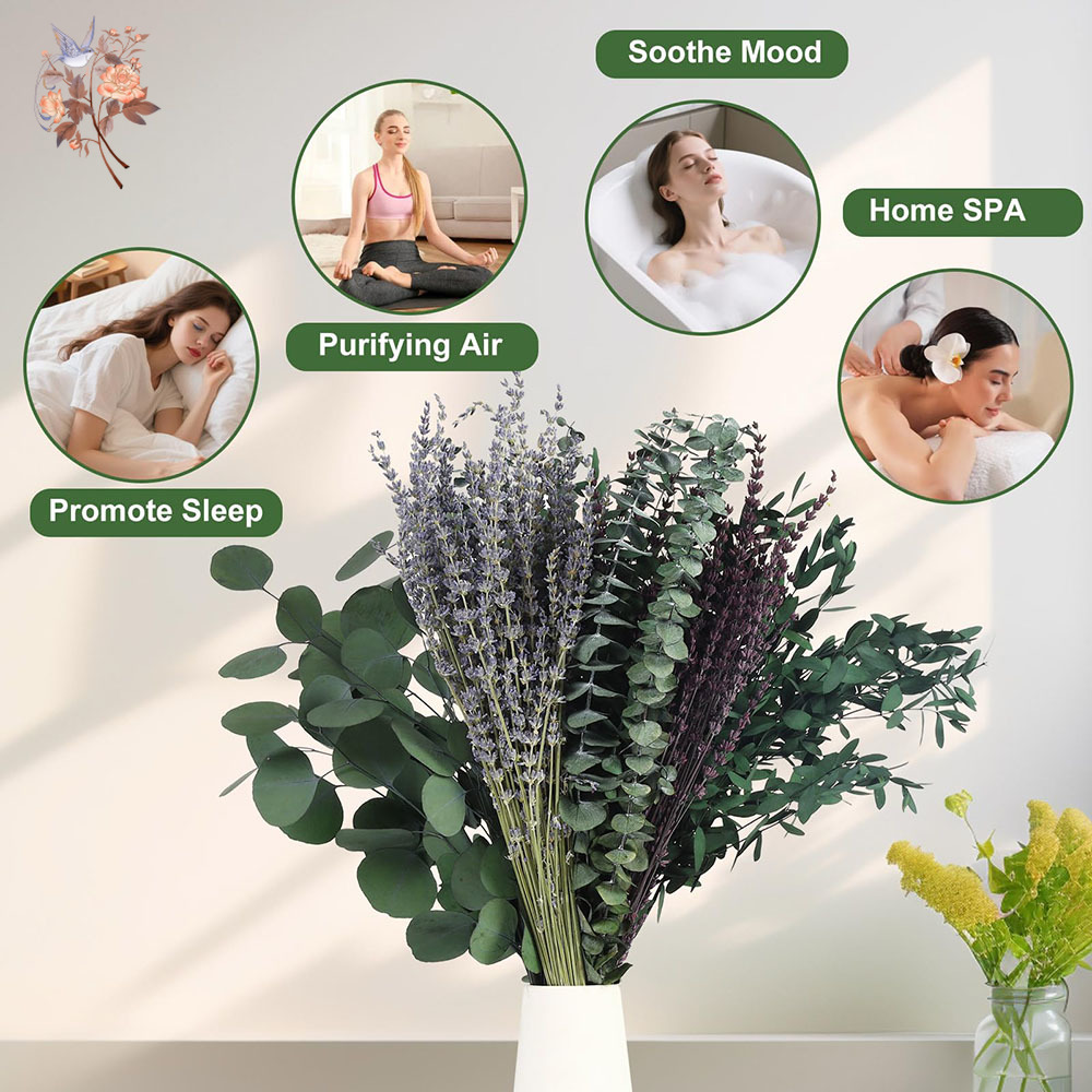 110Pcs Mix Dried Eucalyptus Le - đánh giá và giá Fragrance Your Home
