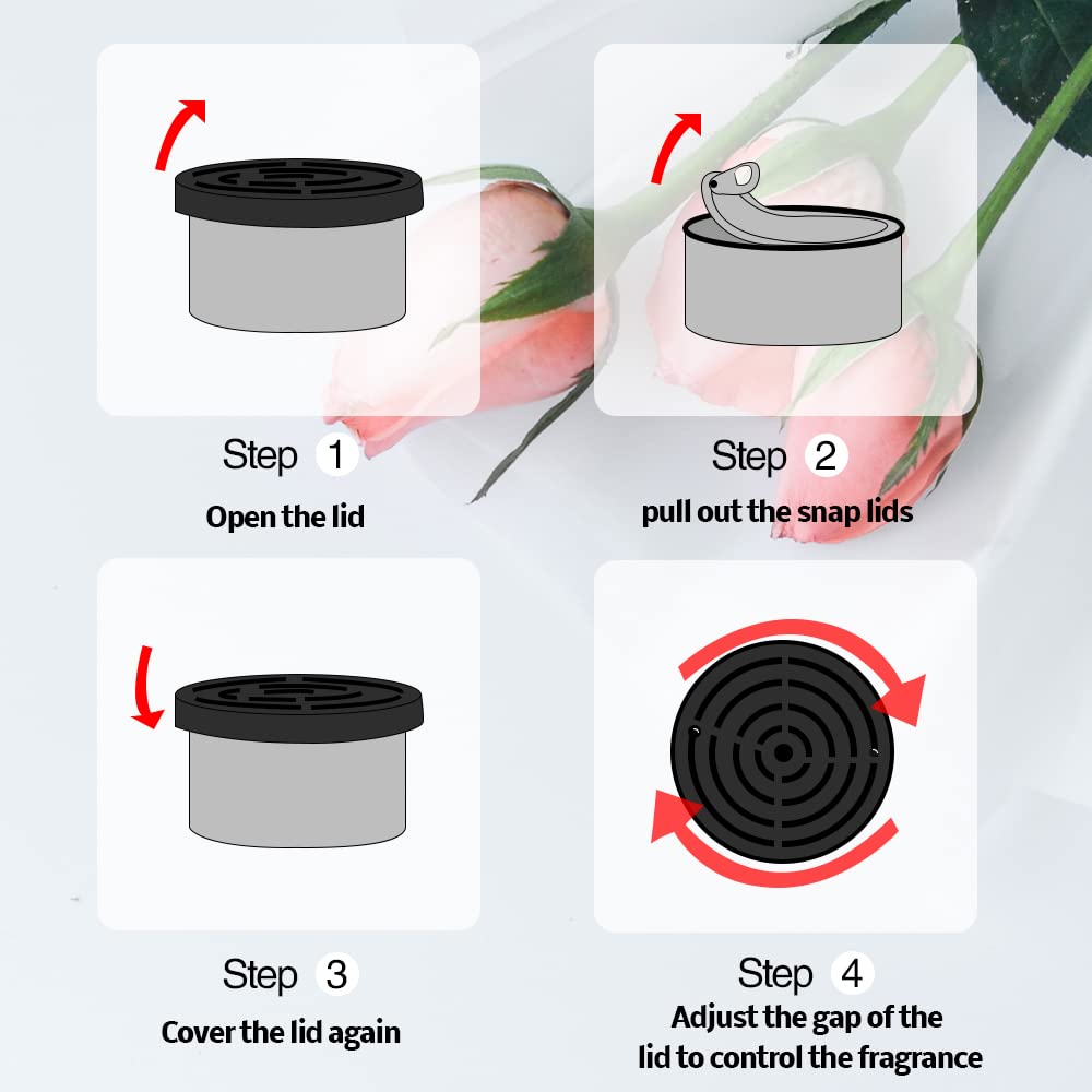 Car Air Freshener:   Coconut S - đánh giá và giá Home Fragrance Janzen